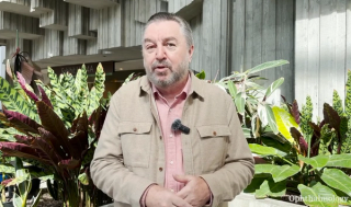 Noel Brennan, MScOptom, PhD, a clinical research fellow at Johnson and Johnson