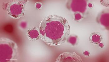 A cell in amniotic fluid. Image credit: ©Icruci – stock.adobe.com