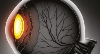 illustration of inner eye