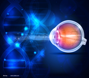 Dry AMD: A review of ongoing, completed and future treatments