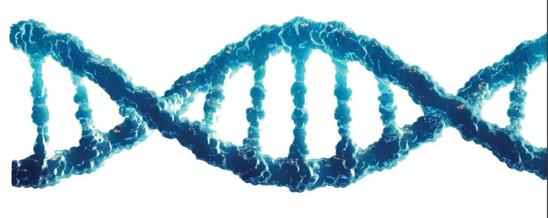 Knowing when to refer young patients to ocular genetics programmes