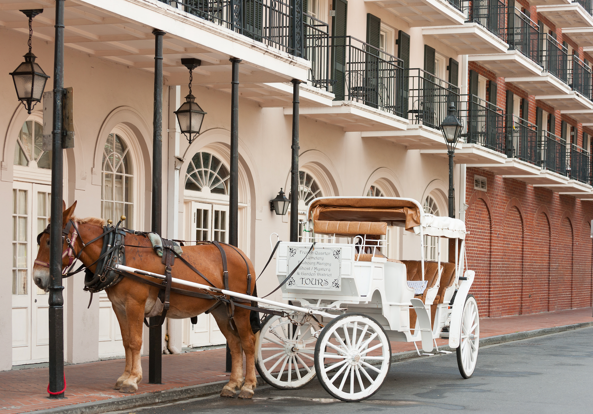 ©Natalia Bratslavsky / stock.adobe.com