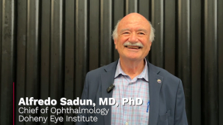 Alfredo Sadun, MD, PhD, chief of Ophthalmology at the Doheny Eye Institute, University of California Los Angeles, shared exciting new research with the Eye Care Network during the Association for Research in Vision and Ophthalmology (ARVO) meeting on the subject of Leber hereditary optic neuropathy (LHON).