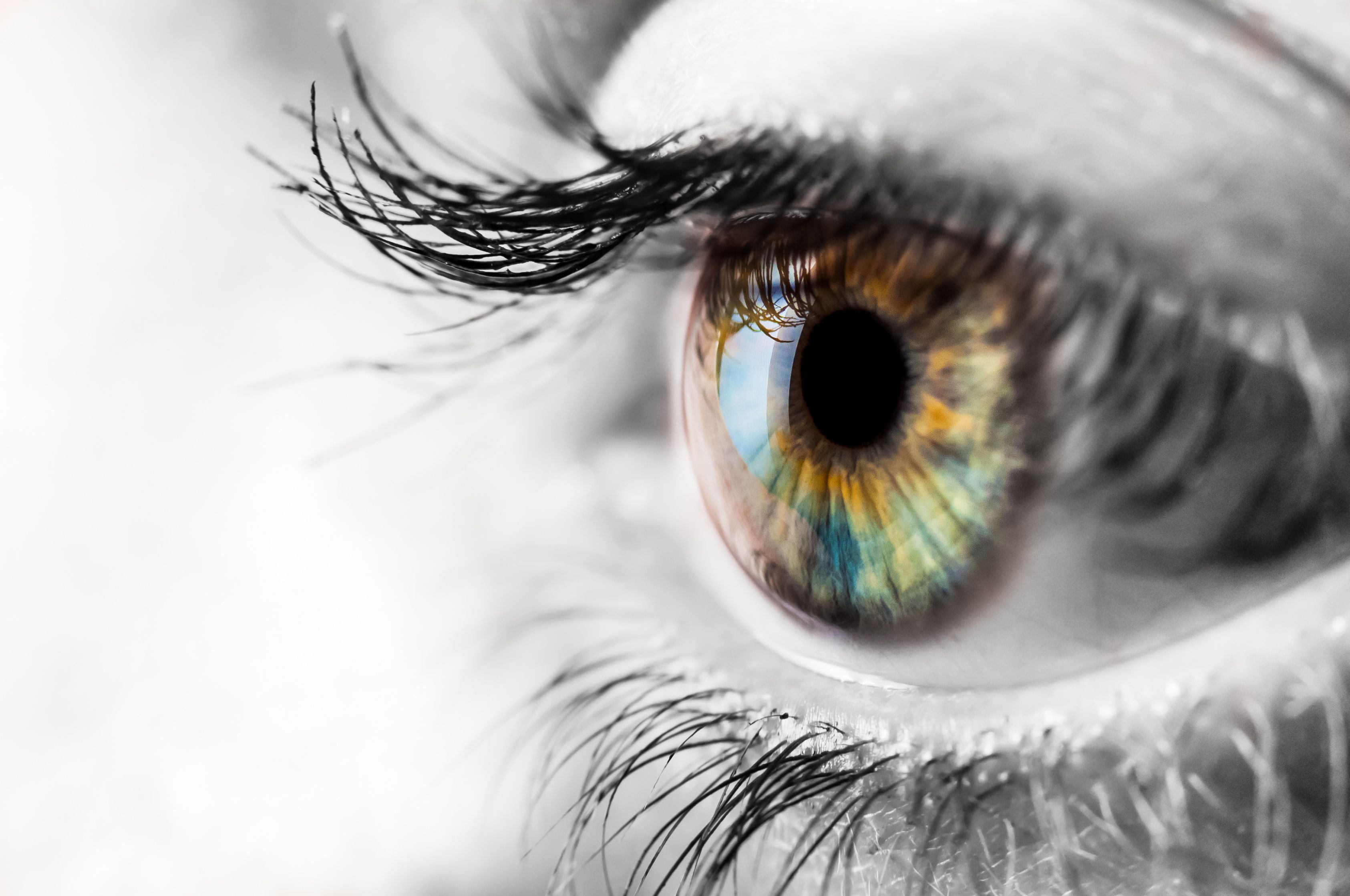 Close up picture of person's eye