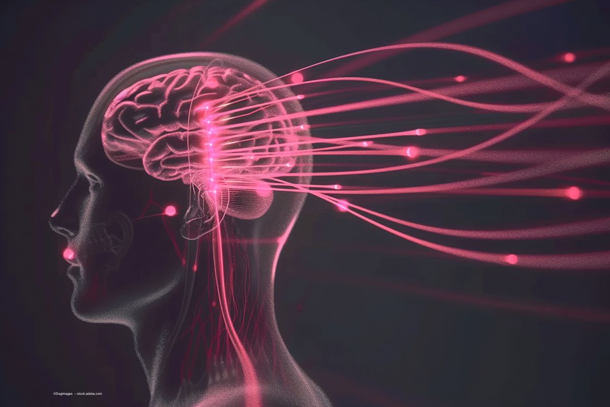 An illustration shows the central nervous system with long pink lines to indicate sensory information. Image credit: ©Degimages – stock.adobe.com