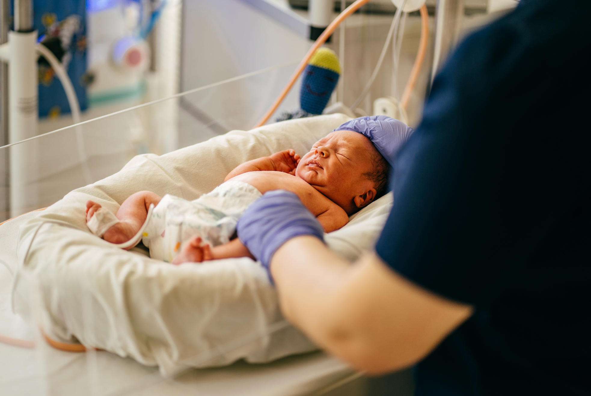 ©Iryna / stock.adobe.com