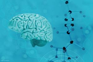 An illustration of a brain, and a superimposed image of molecular structure and genetic helixes, all in green/blue. Image credit: ©kittyfly – stock.adobe.com