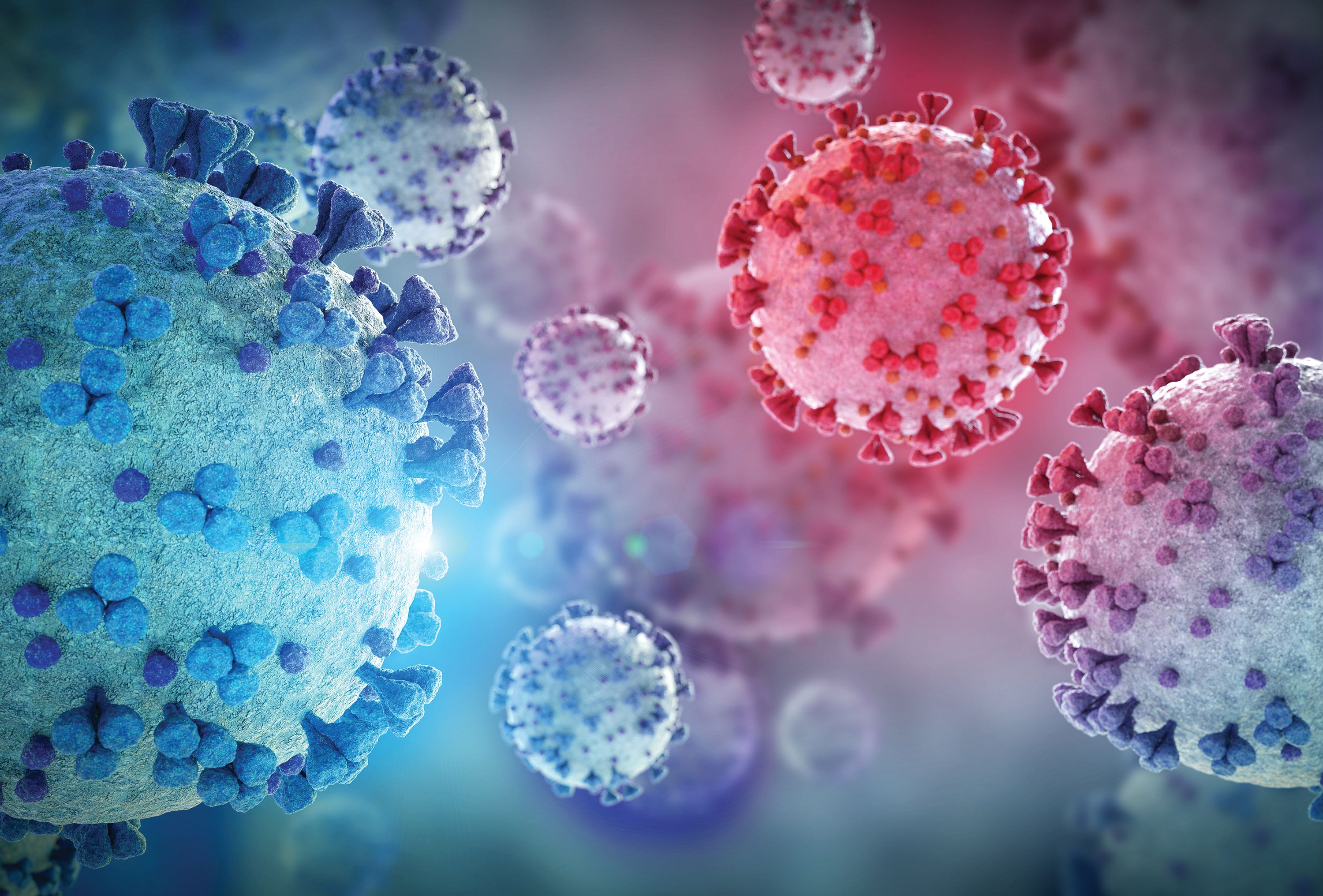 Illustration of COVID-19 cells
