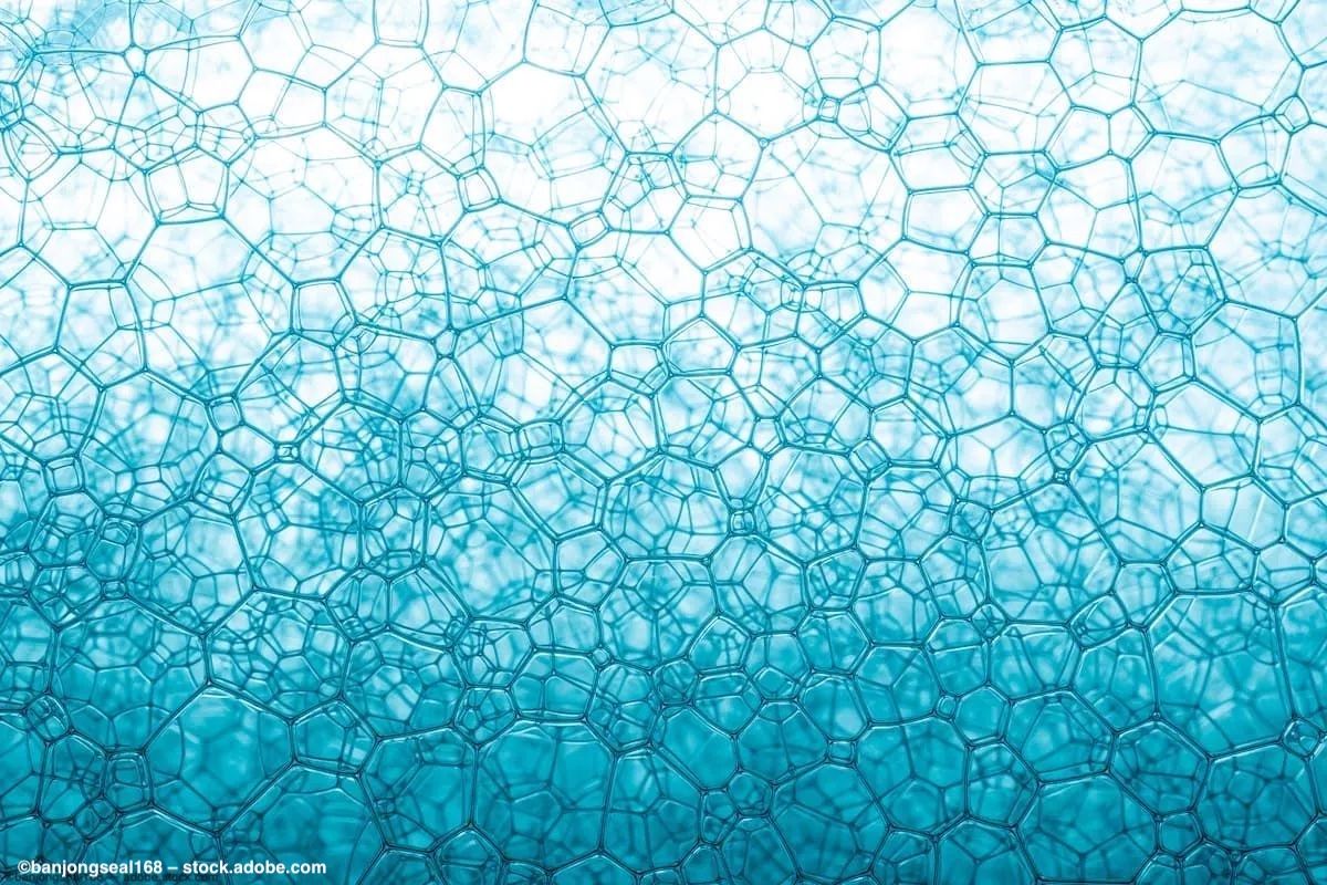 SOE 2023 New dehydrated human amniotic membrane promotes healing of