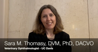 Sarah M. Thomasy, DVM, PhD, DACVO, a veterinary ophthalmologist at UC Davis, talks about how her research at the Glaucoma 360 symposium