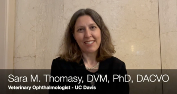 Sarah M. Thomasy, DVM, PhD, DACVO, a veterinary ophthalmologist at UC Davis, talks about how her research at the Glaucoma 360 symposium