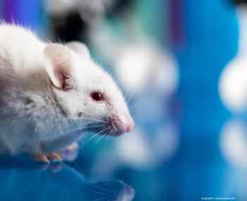 Diabetic rats protected from macular oedema hallmarks with THR-687 treatment