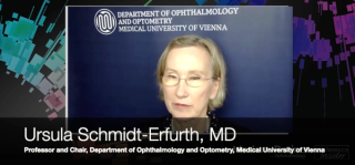 COPHy 2024: How good are we really without artificial intelligence tools?