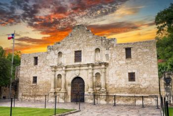 ASRS 39th Annual Scientific Meeting: A review of findings reported