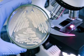 A petri dish with cultures of bacteria near a microscope. Image credit: ©Prrrettty – stock.adobe.com.