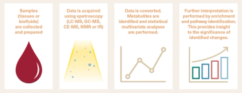 Figure 2. Sample collection and analysis. The metabolomics workflow. (Figure data courtesy of Neeru Vallabh, MBBS, FRCOphth, PhD)