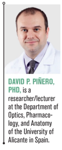 David P. Piñero, PhD