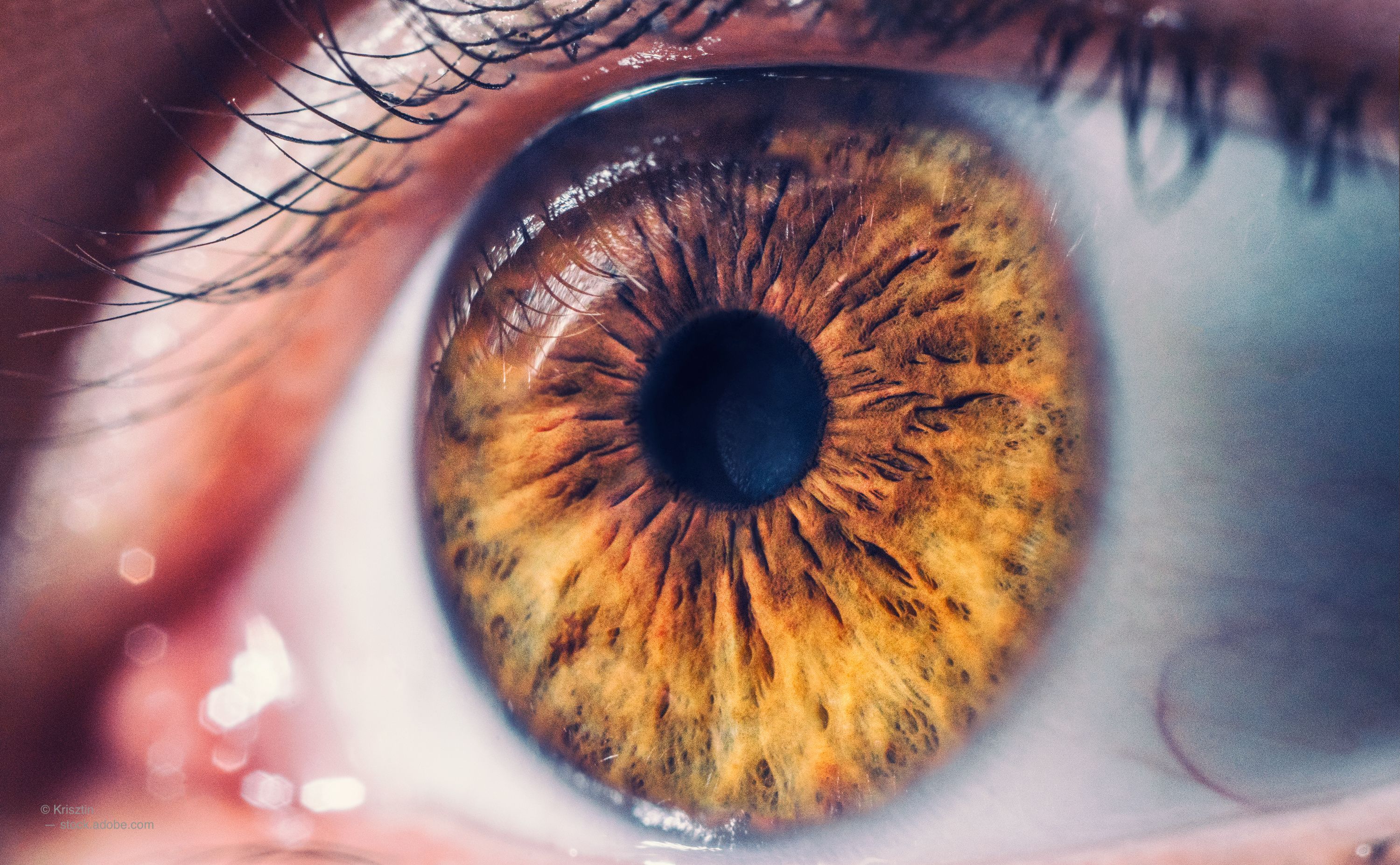 New research out of the National Eye Institute (NEI) confirms that dietary supplements can decrease the progression of age-related macular degeneration (AMD).
