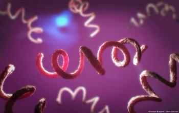 Syphilis pathogen Image credit: AdobeStock/ChristophBurgstedt