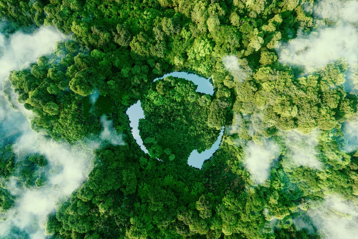 Recycling graphic in forest Image credit: AdobeStock/malp