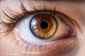 Image Credit: © Fernando - stock.adobe.com