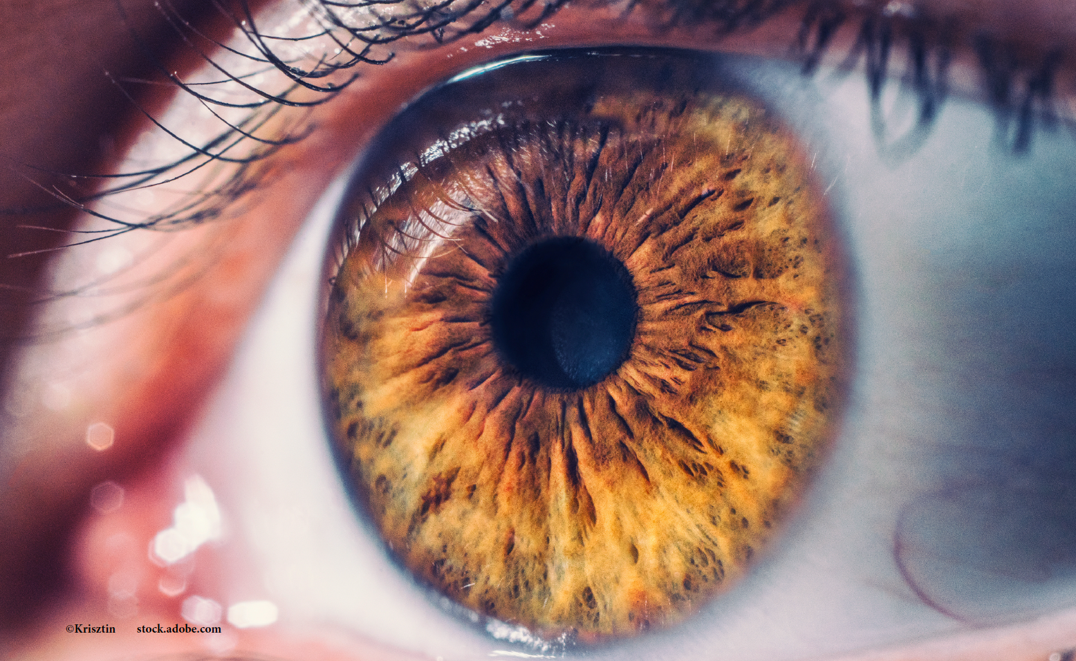 New research out of the National Eye Institute (NEI) confirms that dietary supplements can decrease the progression of age-related macular degeneration (AMD). Image Credit: ©Krisztin - stock.adobe.com