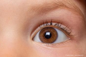 Image Credit: © Zarina Lukash - adobe.stock.com
