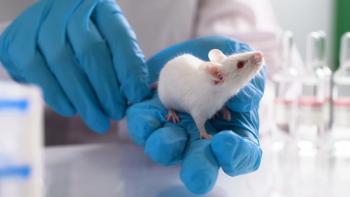 Mouse in lab Image credit: AdobeStock/filin174