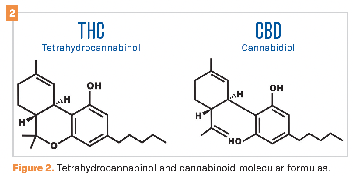 Figure 2. Tetrahydrocannabinol and cannabinoid molecular formulas.