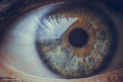 Phase 2 data finds OCS-01 improves macular thickness, VA in DME patients