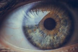 eyeball image credit: adobestock