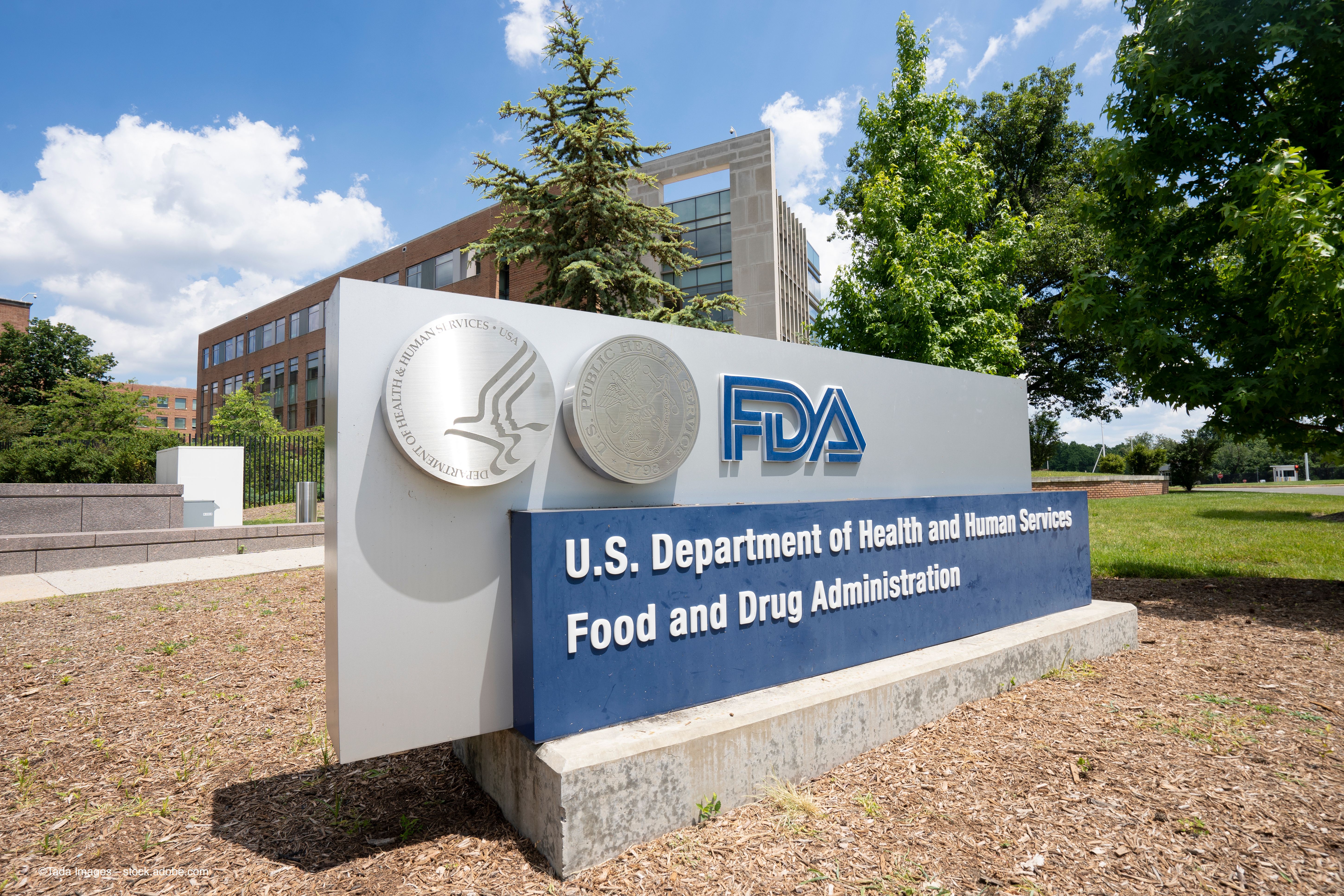 FDA grants priority review to retinal implant for MacTel - Image credit: Adobe Stock / ©Tada Images