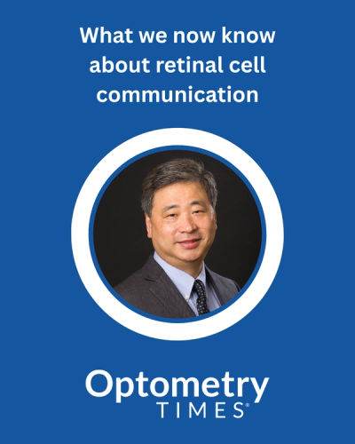 What we now know about retinal cell communication