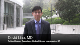 Controversies in Modern Eye Care 2023: Evolving therapeutics for nAMD and DME