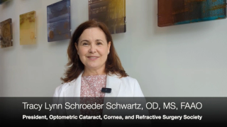 Tracy Lynn Schroeder Swartz O.D., M.S., FAAO, overviews her talk on comanagement