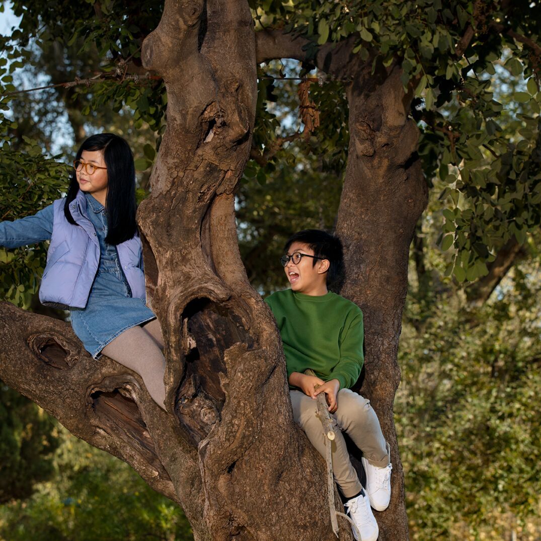 Children with glasses sitting in tree Image credit: HOYA Vision Care