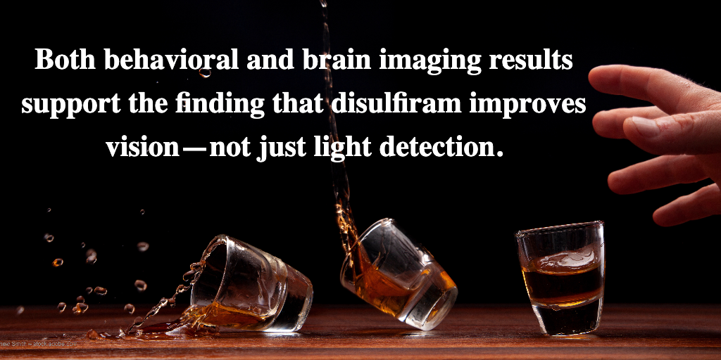 Both behavioral and brain imaging results support the finding that disulfiram improves vision—not just light detection.