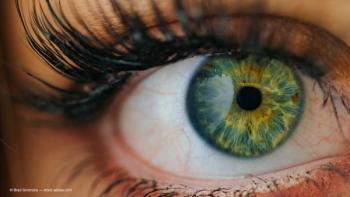 Image Credit - © Brad Simmons - stock.adobe.com