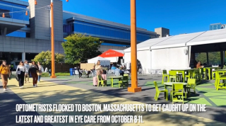 Clark Chang, OD, MSA, MSc, FAAO, and Michelle Chung, OD, FAAO, FSLS, provided cornea updates during the American Academy of Optometry Academy 2025 conference.