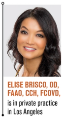 Elise Brisco, OD, FAAO, FCOVD, CCH