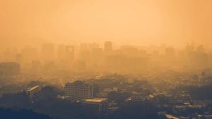 Smoggy city  Image credit: AdobeStock/ttlsc