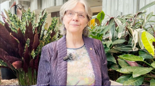 Deborah Ferrington details a session on mitochondrial maintenance and retinal health in patients with AMD at ARVO 2024