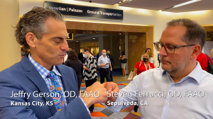 Gerson and Ferrucci talk retina pipeline