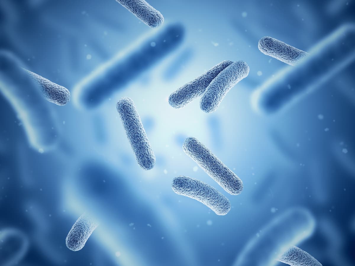 Illustration of gut bacteria Image credit: AdobeStock/MP