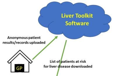 Cloud-Based "Liver Toolkit" Identifies Primary Care Patients at High Risk for Fibrosis, Requiring Referral