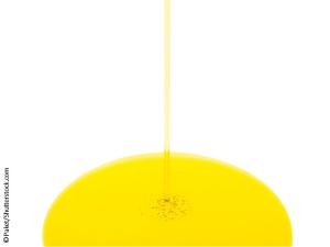 Op-Ed: Chewing, and Choking, on False (Nutritional) Equivalence