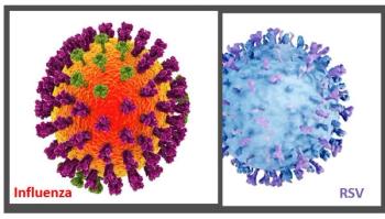 Coadministration of RSV, Influenza Vaccines is Safe and Effective in Older Adults, Study Finds Image credits  RSV ©Artur/stock.adobe.com influenza ©Kateryna_Kon/stock.adobe.com