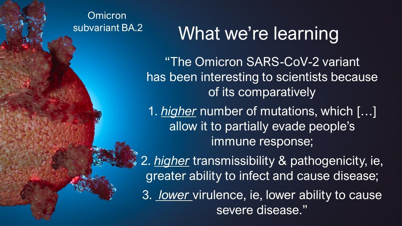 Omicron Subvariant Ba 2 What We Know Now Omicron Subvariant Ba 2 What We Know Now