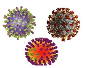 Expert Panel Offers Guidance on Testing for COVID-19, Influenza, RSV this Season ©Kateryna_Kon/stock.adobe.com