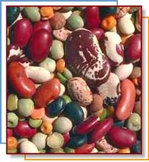 Full of Beans!